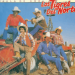 No Se Va – Grupo Frontera (Letra y Acordes)