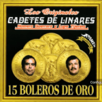 Un Viejo amor – Letra y Acordes