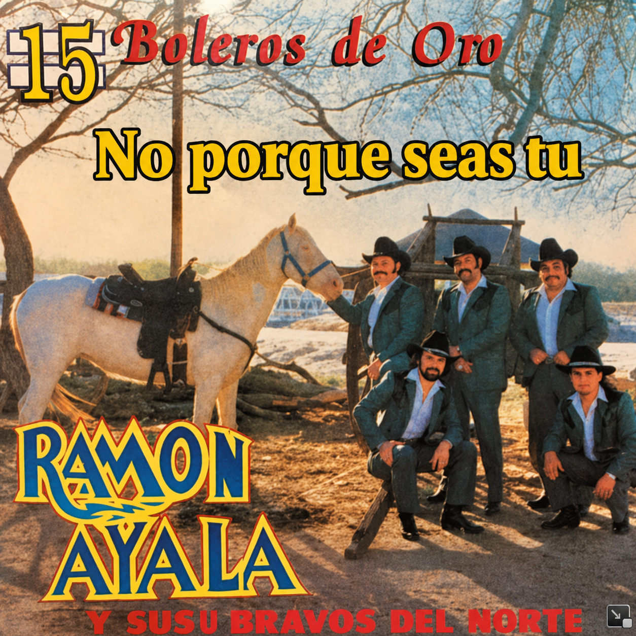 Letra y Acordes de No porque seas tu de Ramon Ayala