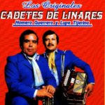 No porque seas tu – Letra y Acordes Ramon Ayala